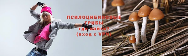 спиды Балахна