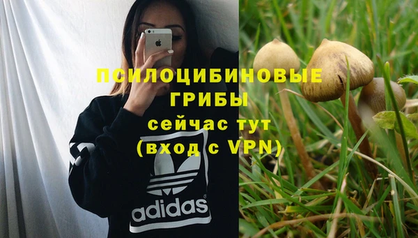 спиды Балахна